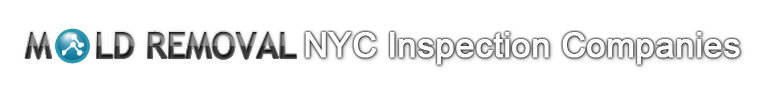 Mold Removal NYC Inspection Companies