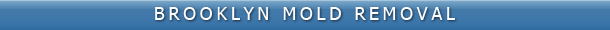 Brooklyn Mold Removal