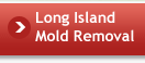 Long Island Mold Removal